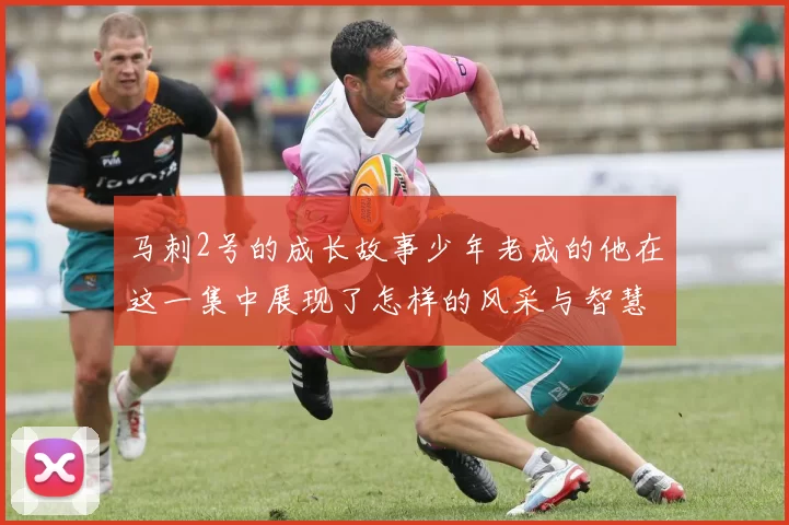马刺2号的成长故事少年老成的他在这一集中展现了怎样的风采与智慧